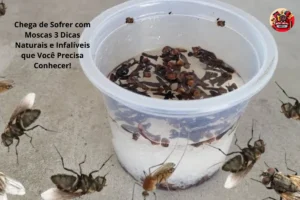 Chega de Sofrer com Moscas 3 Dicas Naturais e Infalíveis que Você Precisa Conhecer!