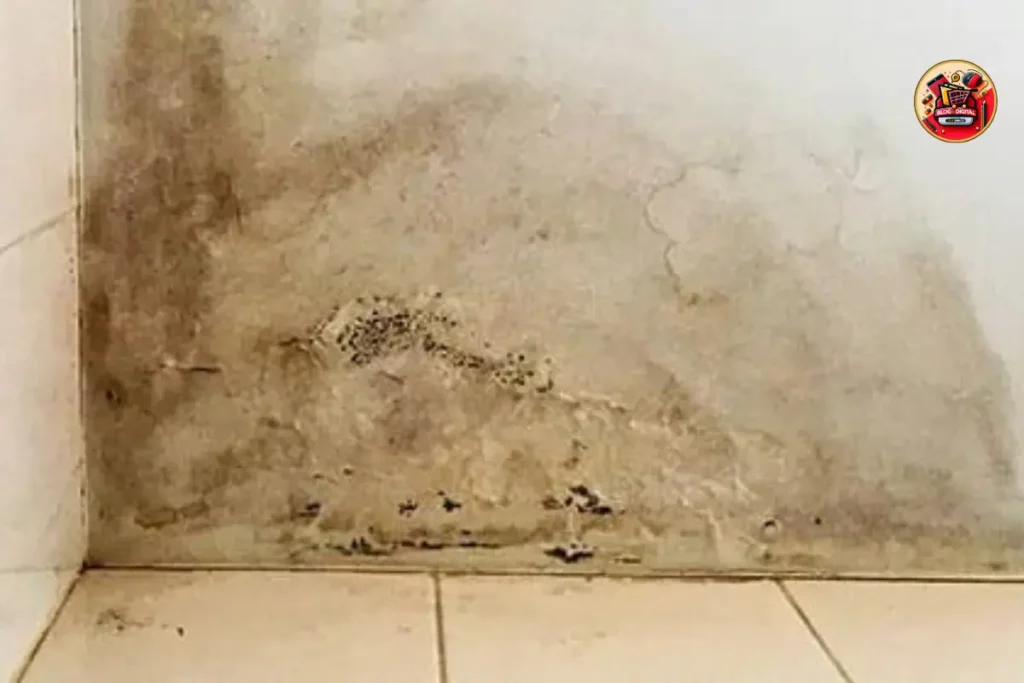 Como Evitar o Retorno das Manchas de Umidade