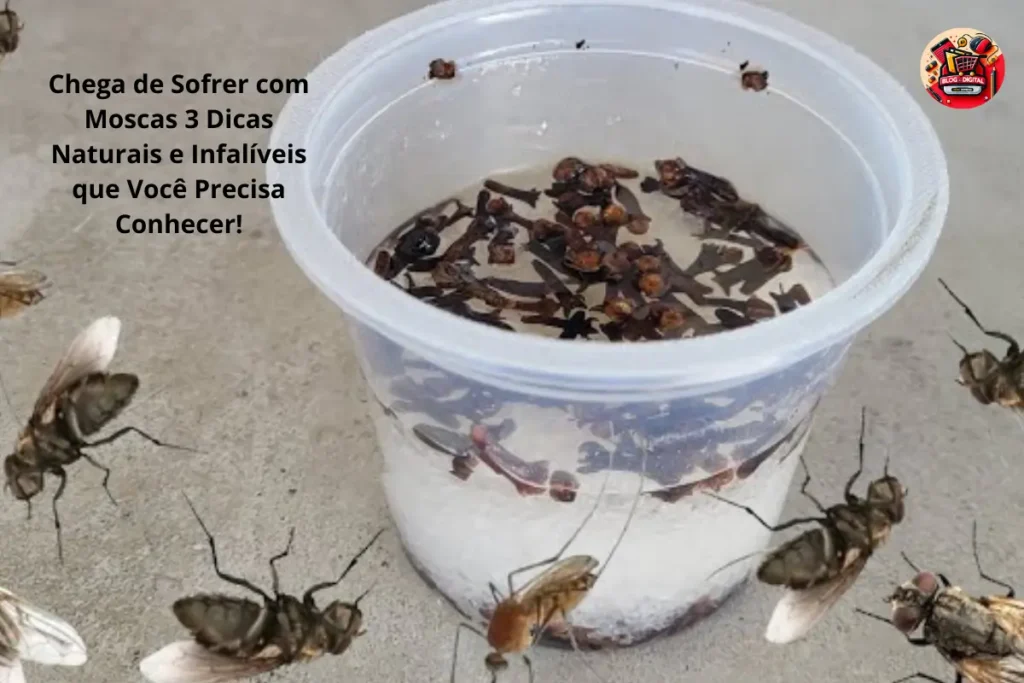 Chega de Sofrer com Moscas 3 Dicas Naturais e Infalíveis que Você Precisa Conhecer!